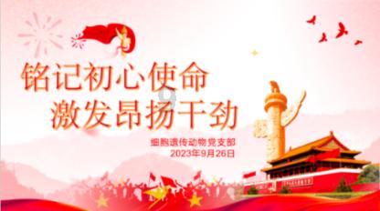 孤独的流浪者救援